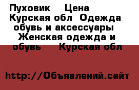 Пуховик  › Цена ­ 1 500 - Курская обл. Одежда, обувь и аксессуары » Женская одежда и обувь   . Курская обл.